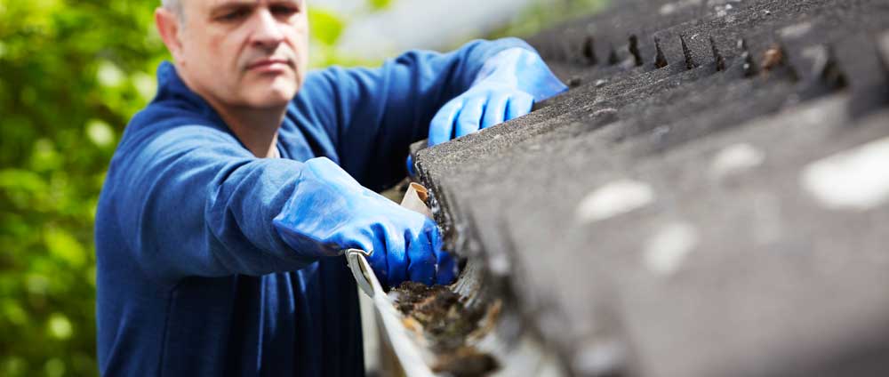 Servizio di pulizia e manutenzione di tetti e grondaie