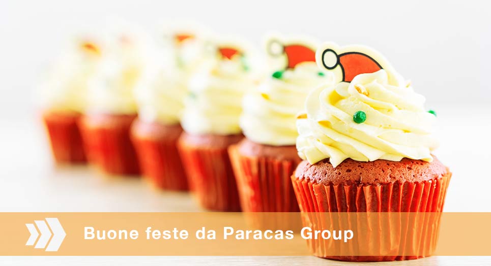 Paracas Group augura a tutti buon Natale e felice anno nuovo