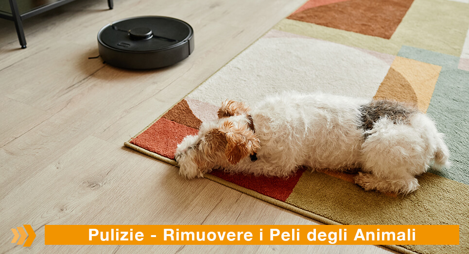 Pulizie Appartamento Milano - Cane sdraiato sul tappeto