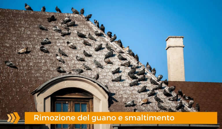 Paracas-Group-Rimozione-guano-smaltimento