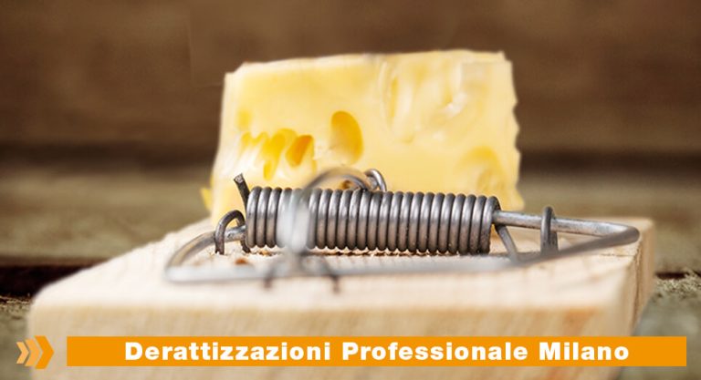 Paracas Group: derattizzazioni professionale Milano