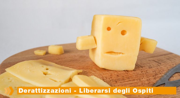 Paracas Group impresa di pulizie milano mobili e pavimenti in legno