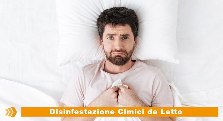 Paracas Group disinfestazione cimici da letto milano largo agli esperti