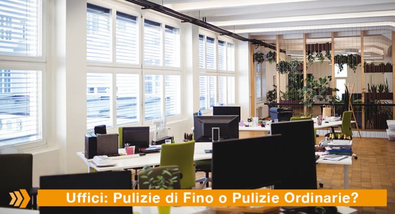 Paracas Group disinfestazione formiche in casa milano come intervenire